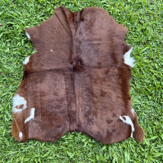 Calf Hide 1