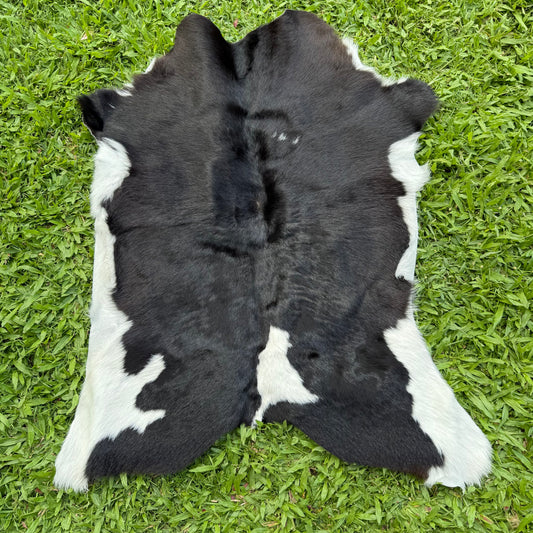 Calf Hide 2