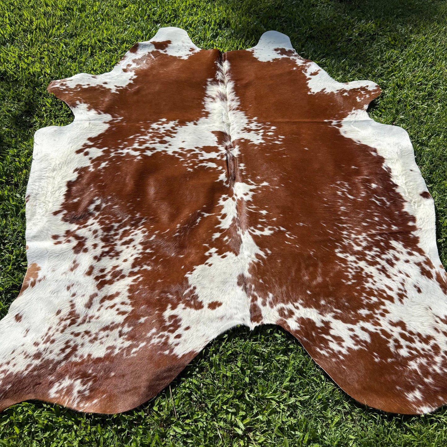 SP/BR Cowhide Rug 1