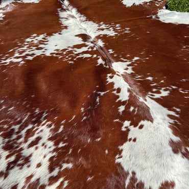 SP/BR Cowhide Rug 1