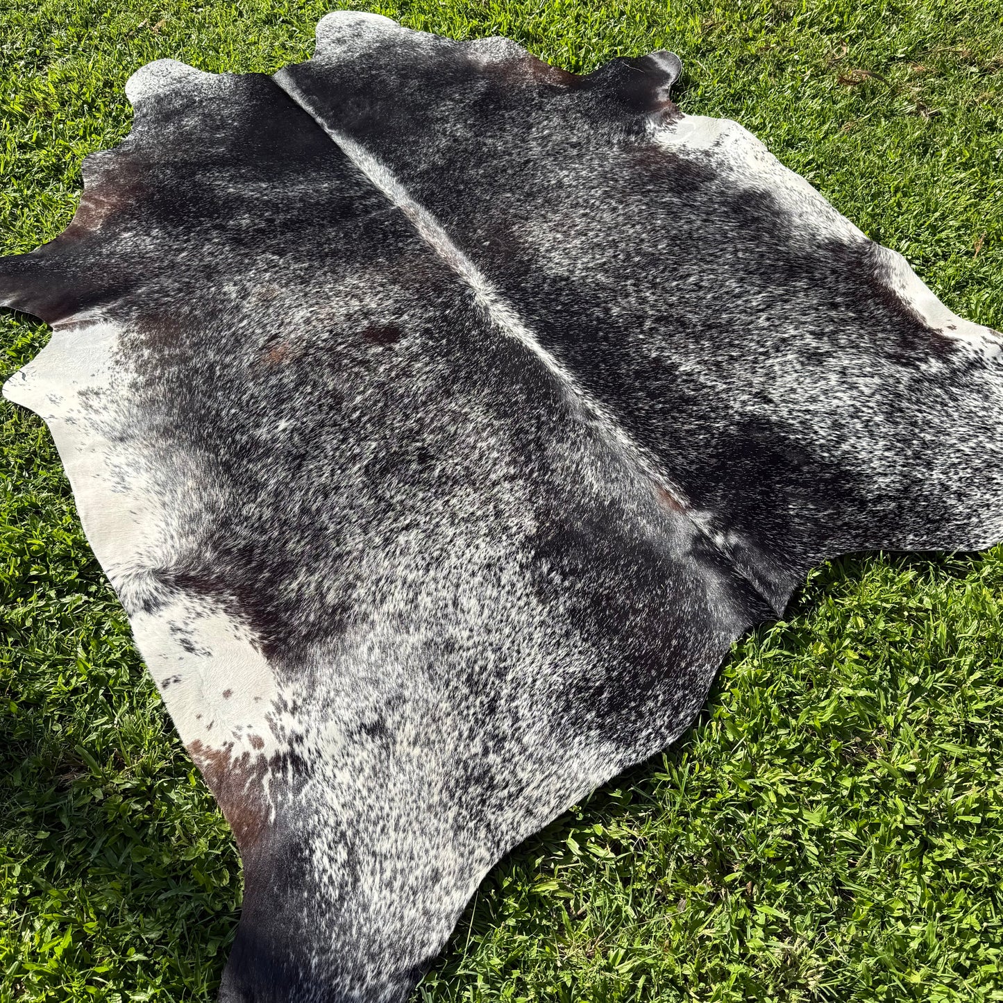 TRI 7 XL Cowhide Rug
