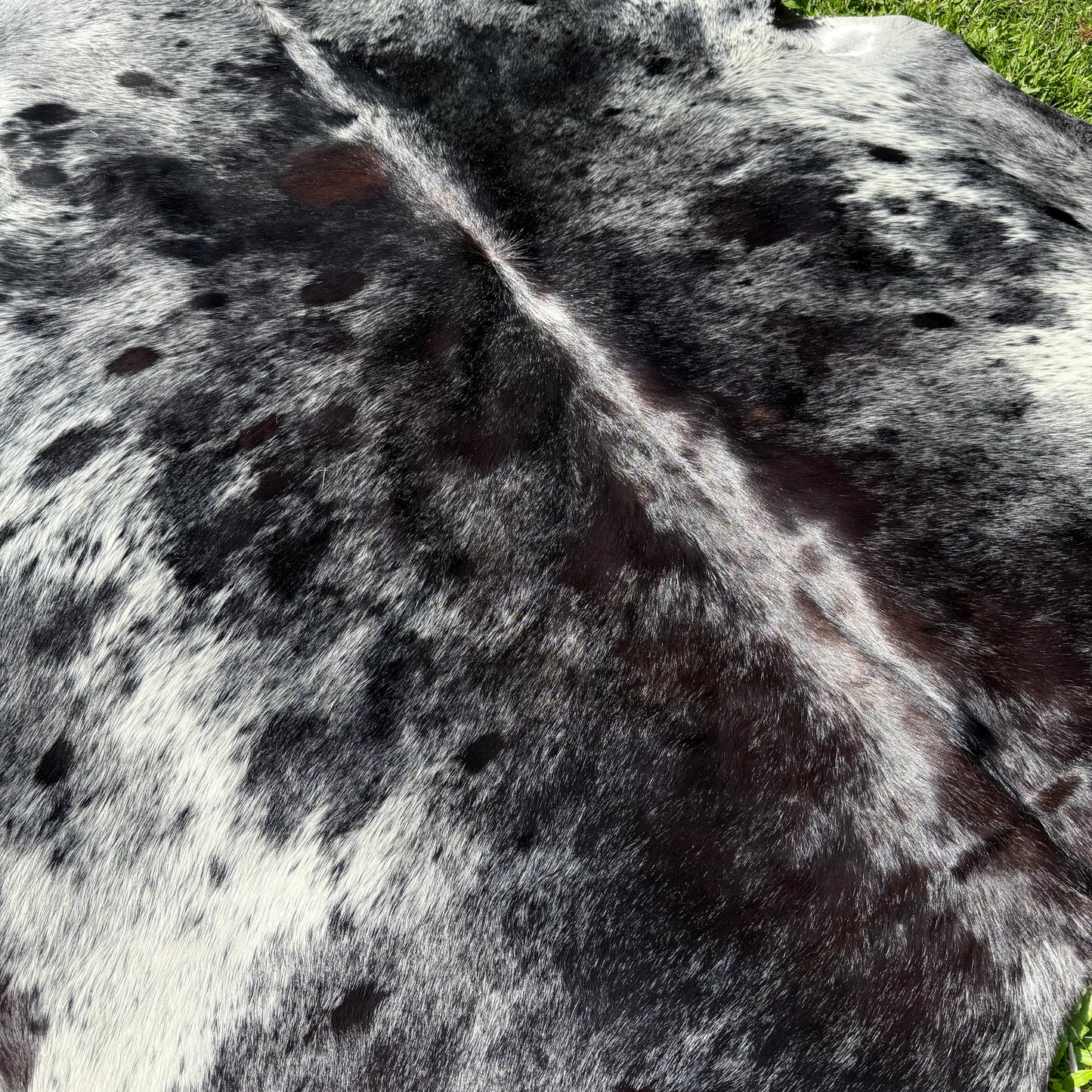 TRI 10 XL Cowhide Rug