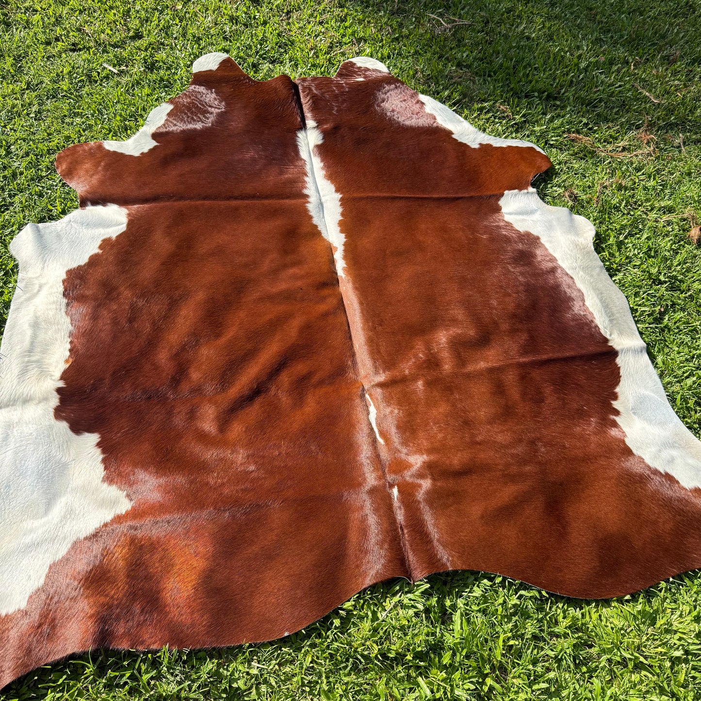 HEREFORD XL Cowhide Rug 11