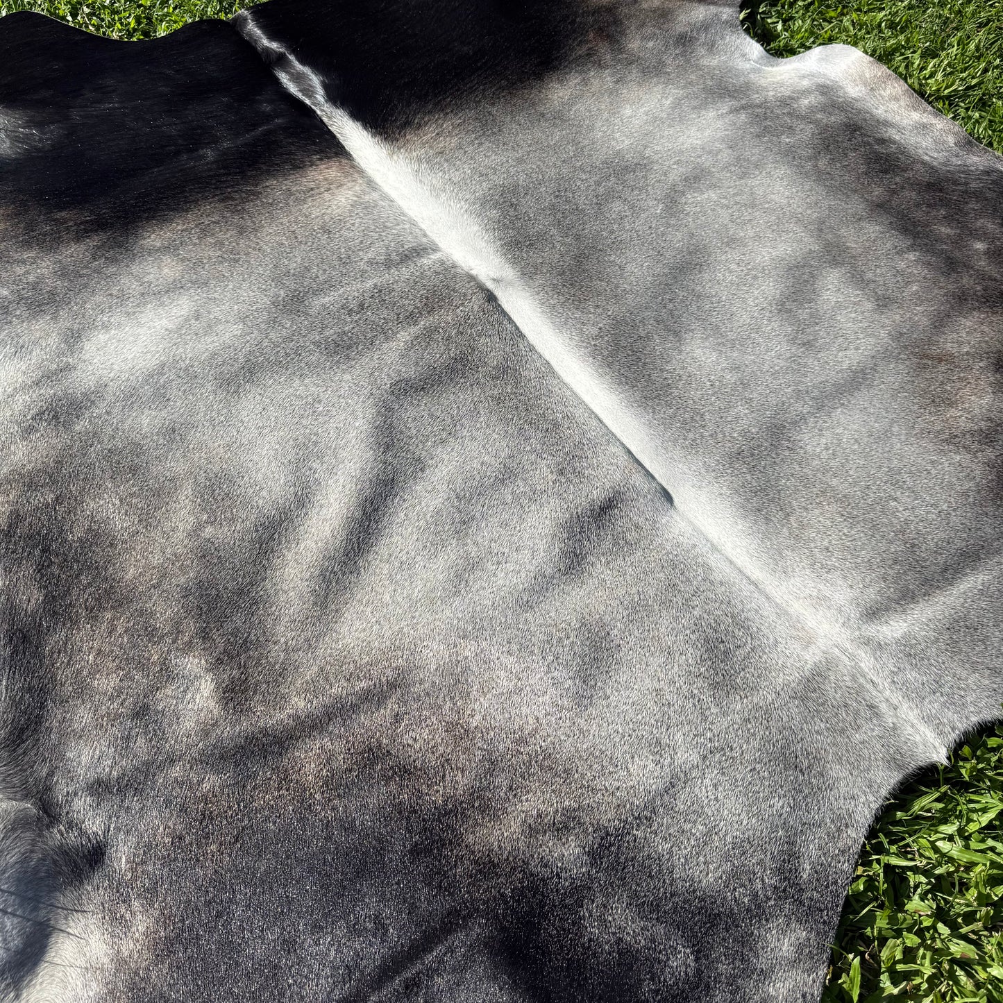 GREY Cowhide Rug 13
