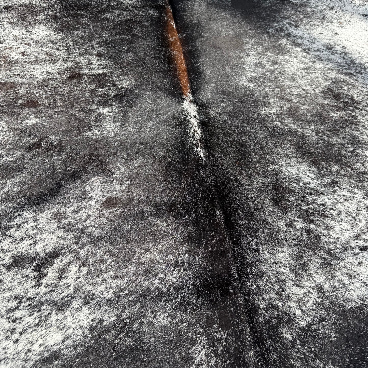 SP/R XL Cowhide Rug 18