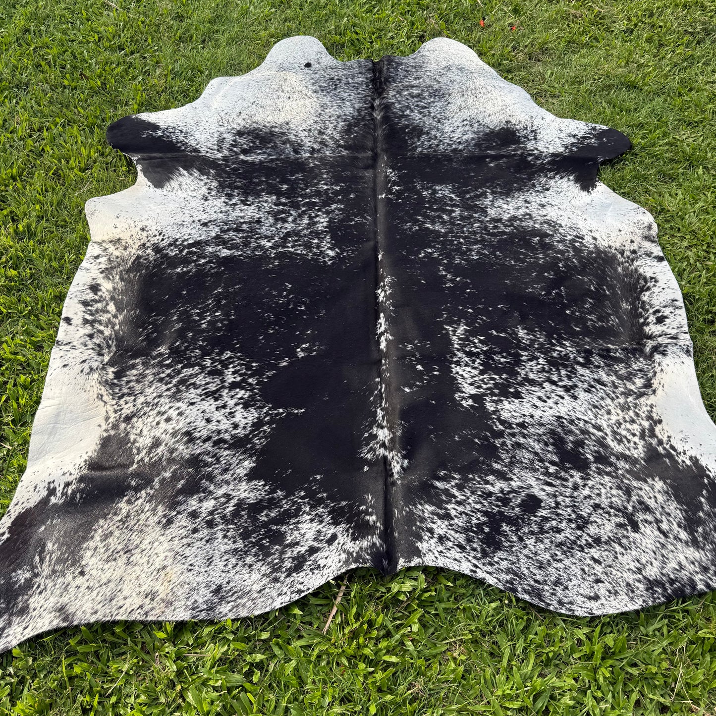 SP/BL Cowhide Rug 20
