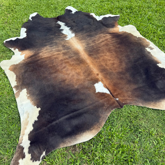 Red XL Cowhide Rug 23