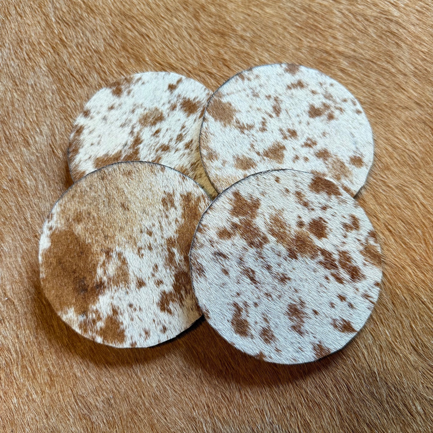 Cowhide Cork Base Coasters Set
