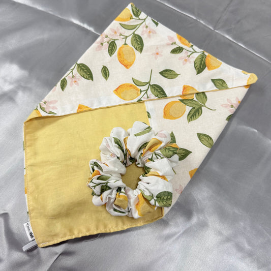 Scrunchie/ Neck Scarf Set