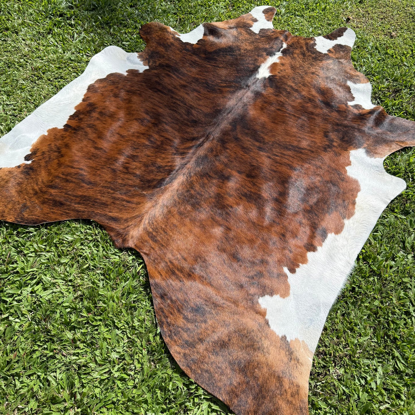 Premium Cowhide Rug 002