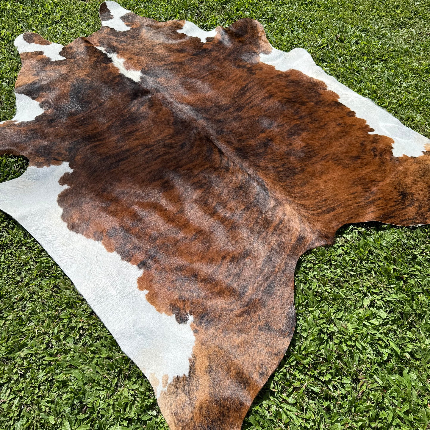 Premium Cowhide Rug 002