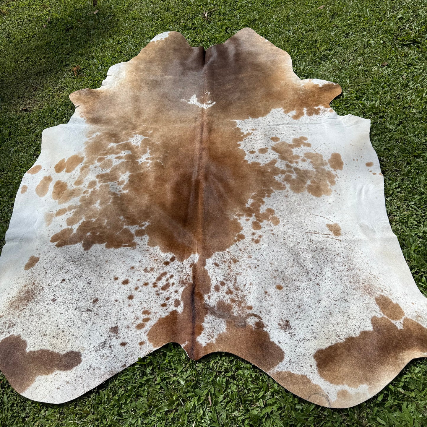 Large Premium Cowhide Rug 006