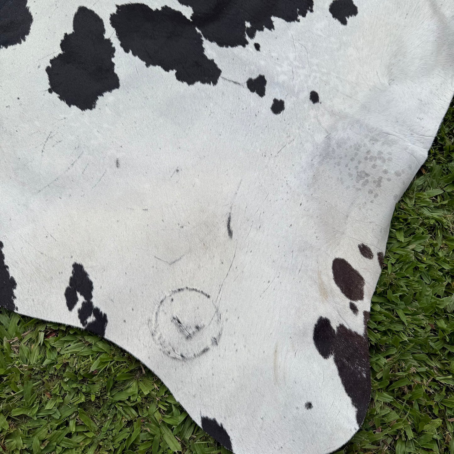 Large Premium Cowhide Rug 0022
