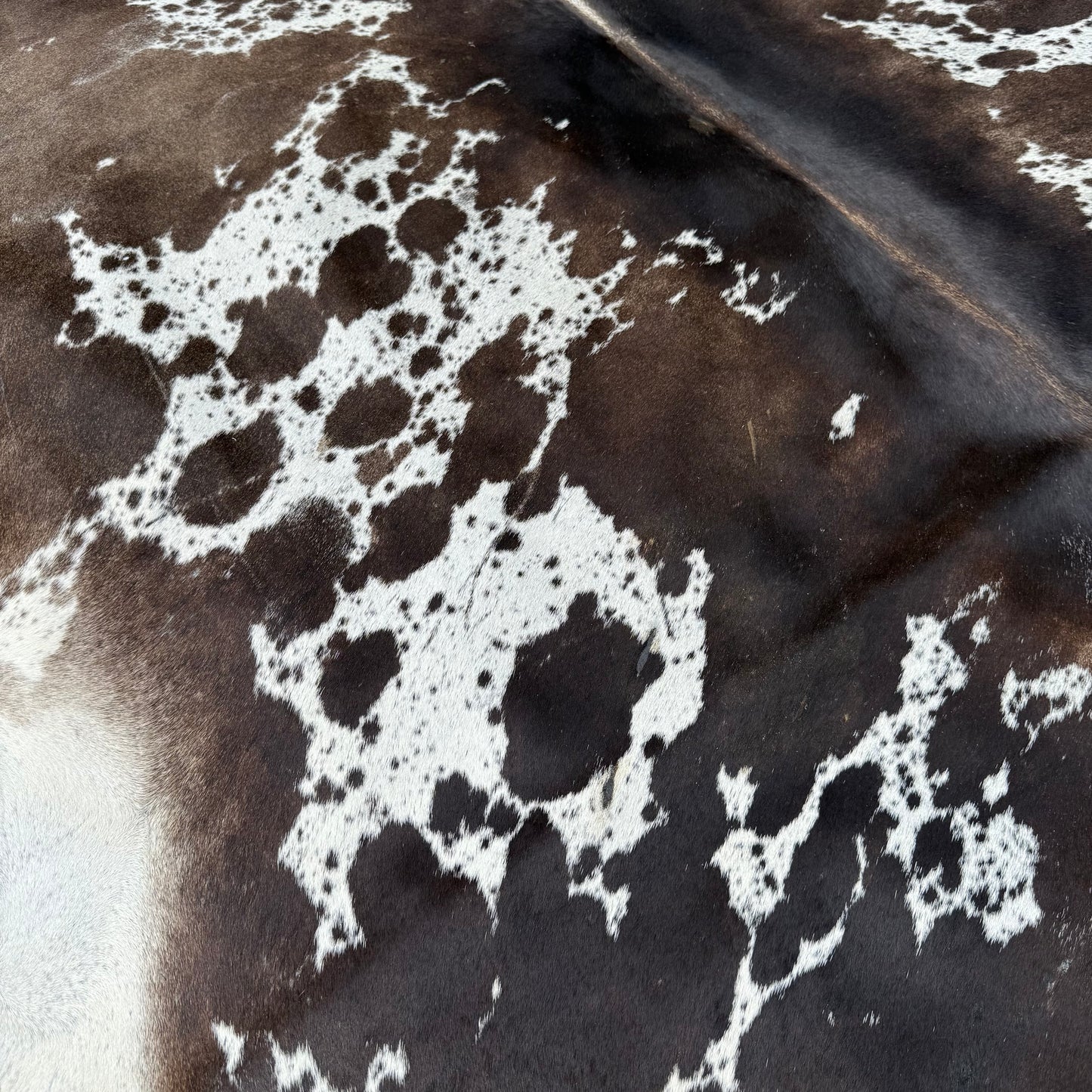 Large Premium Cowhide Rug 0024