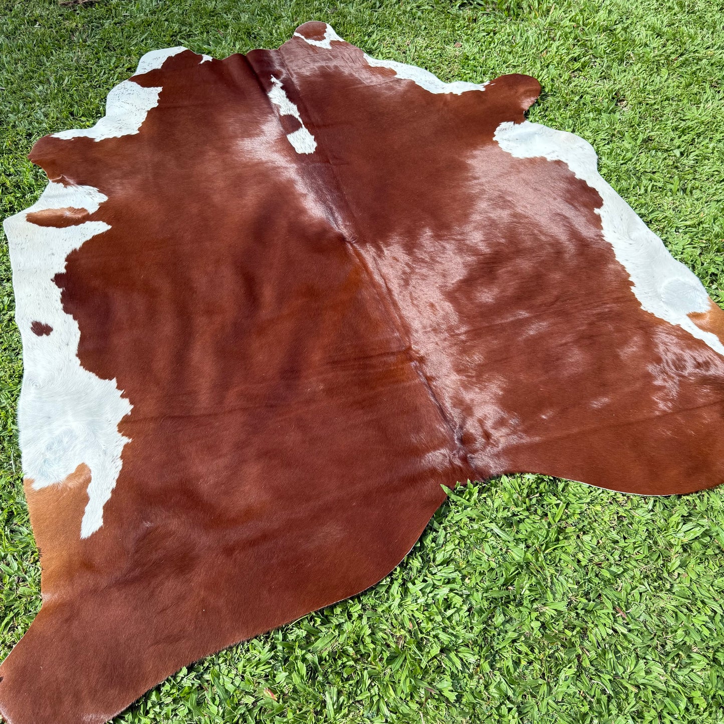 Premium Cowhide Rug 0032