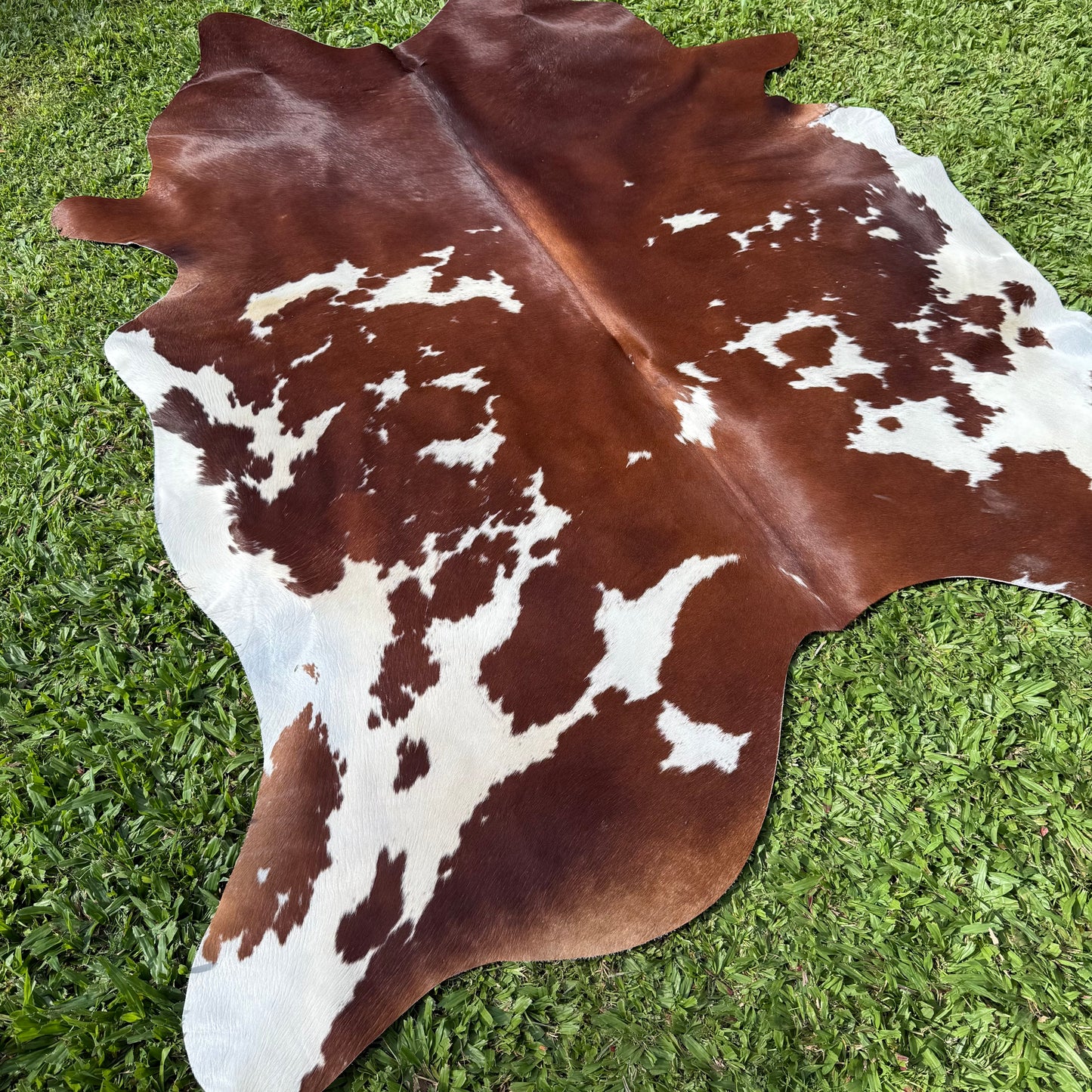 Premium Cowhide Rug 0033