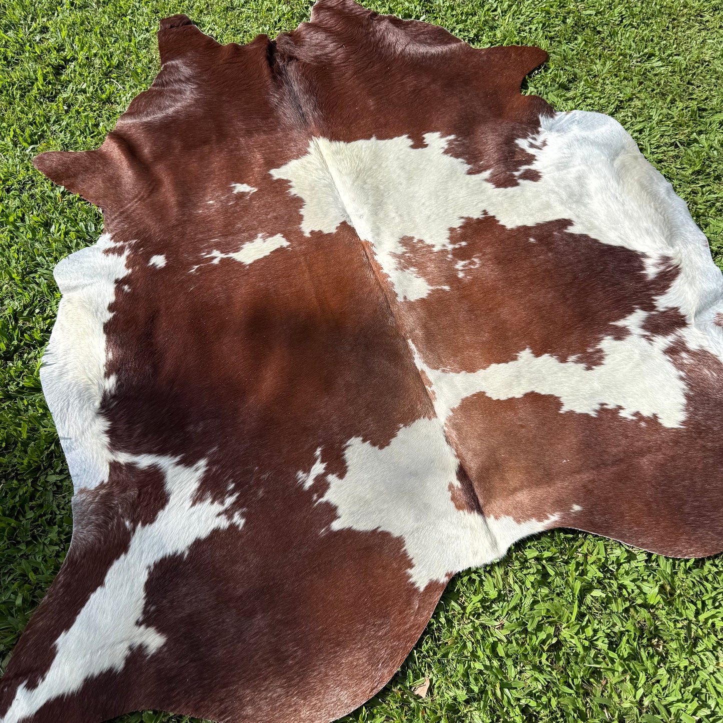 Premium Cowhide Rug 0034