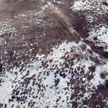 Premium Cowhide Rug 0038