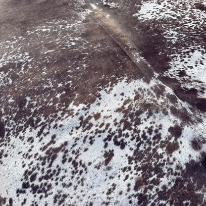 Premium Cowhide Rug 0038