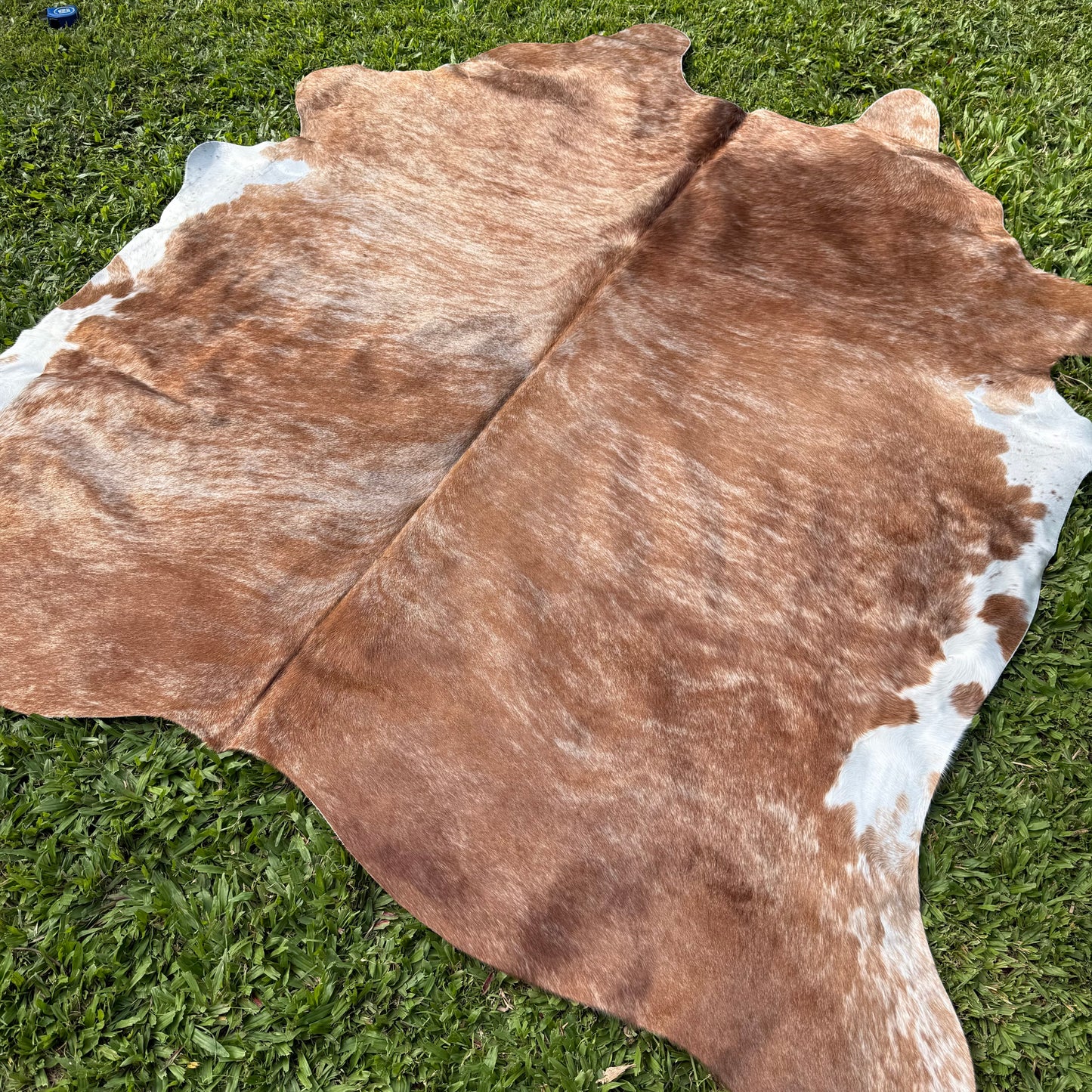 Large Premium Cowhide Rug 0042