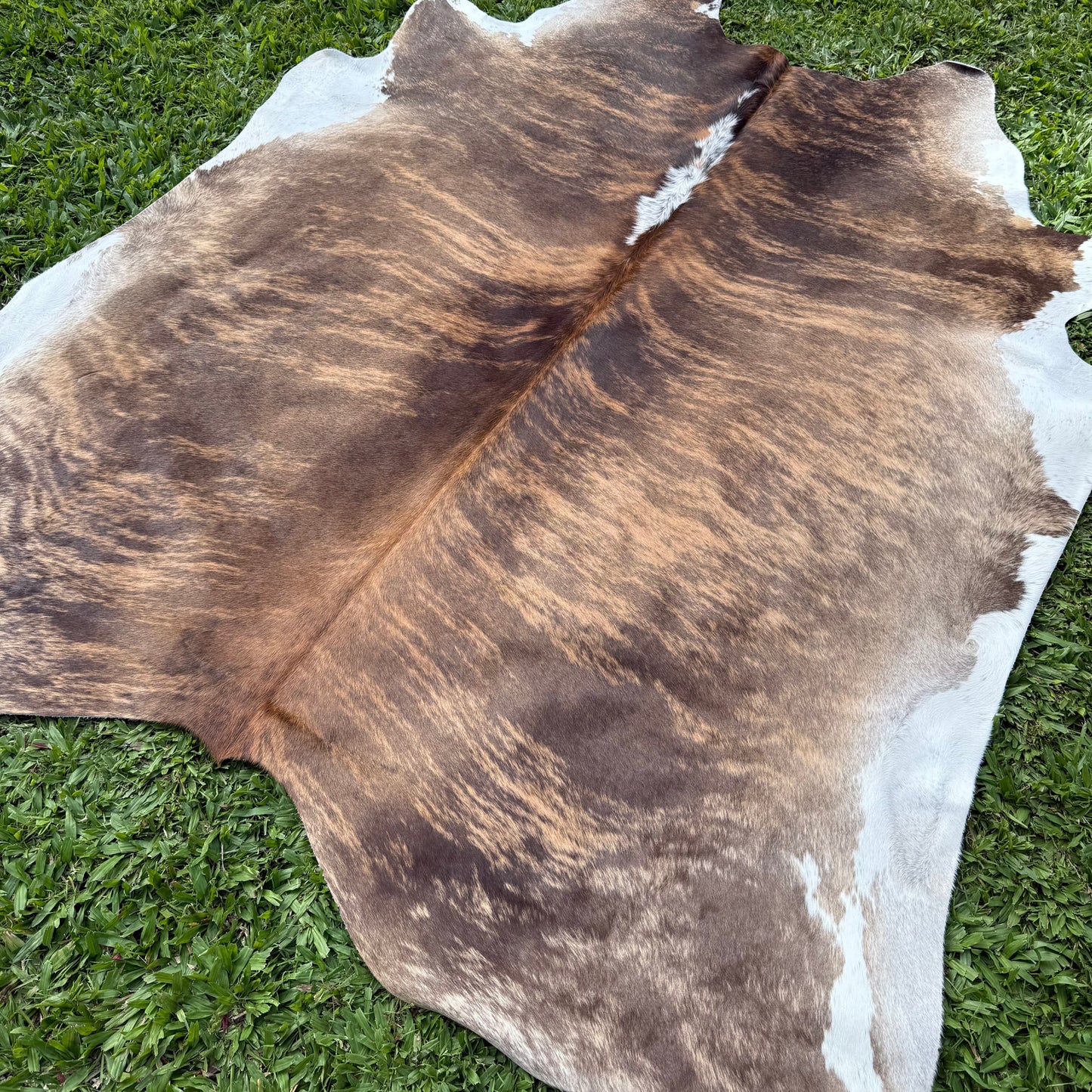 Large Premium Cowhide Rug 0044