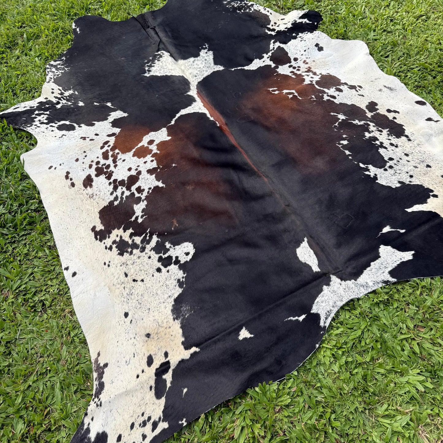Large Premium Cowhide Rug 0045