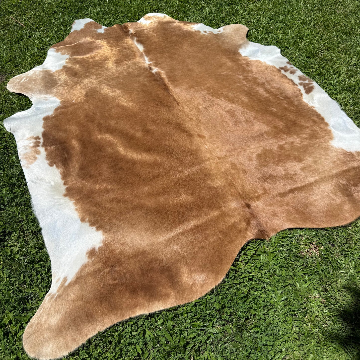Large Cara Mix Cowhide Rug