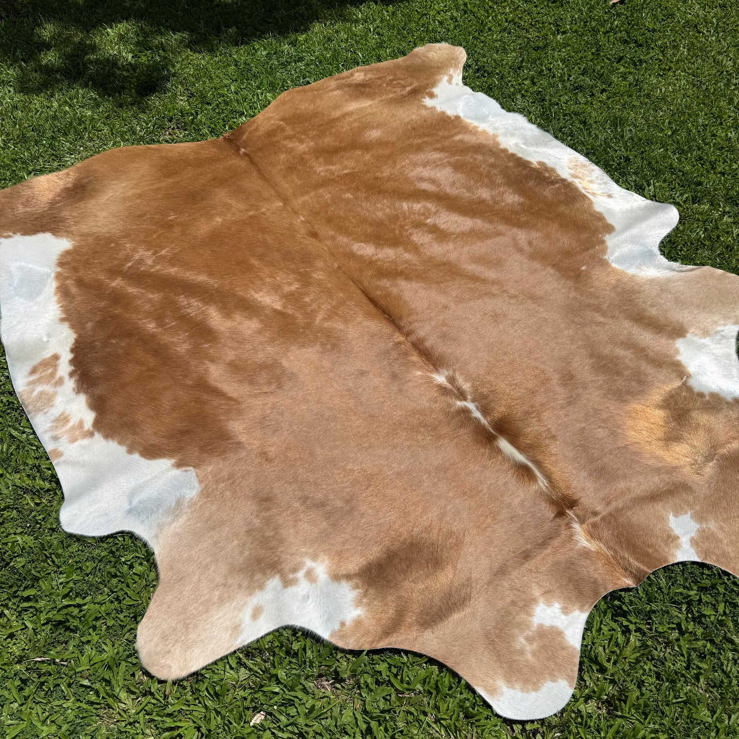 Large Cara Mix Cowhide Rug