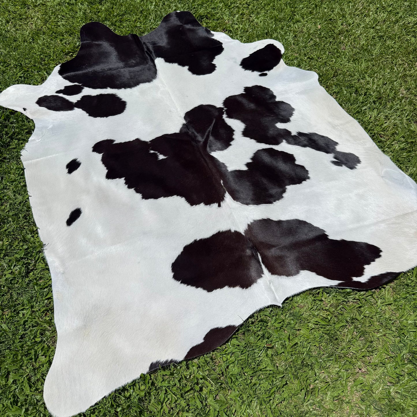 Small Black/White Cowhide Rug
