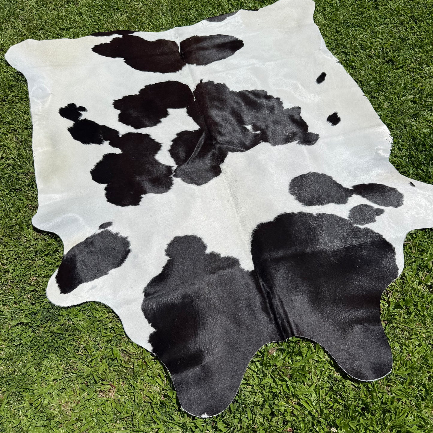 Small Black/White Cowhide Rug