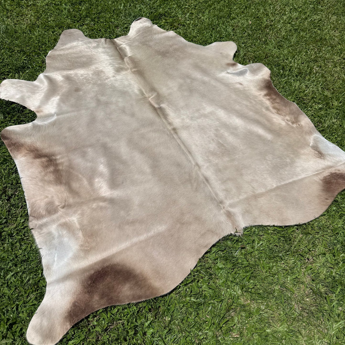 Small Silver Cowhide Rug