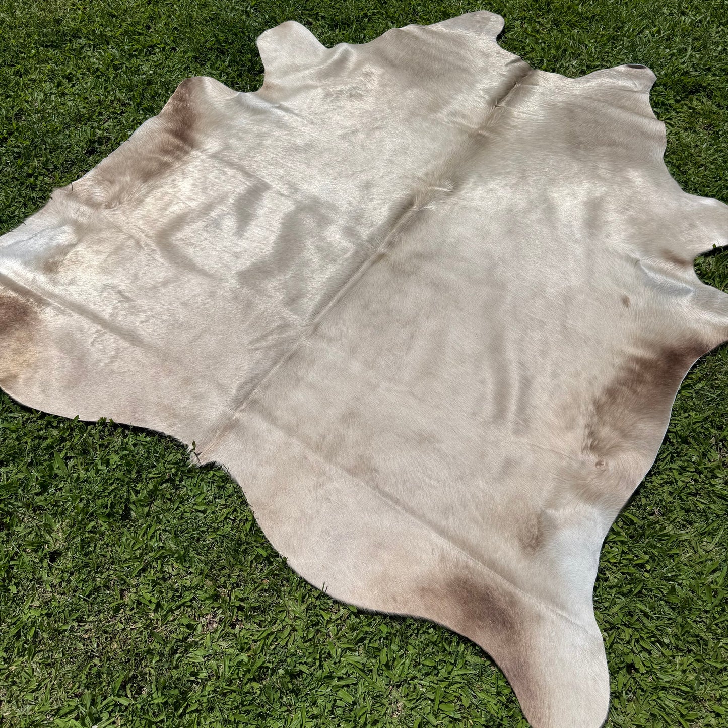 Small Silver Cowhide Rug