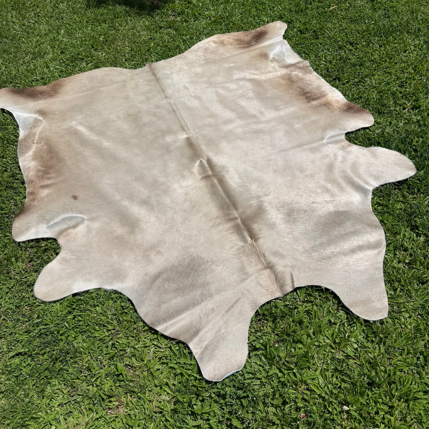 Small Silver Cowhide Rug