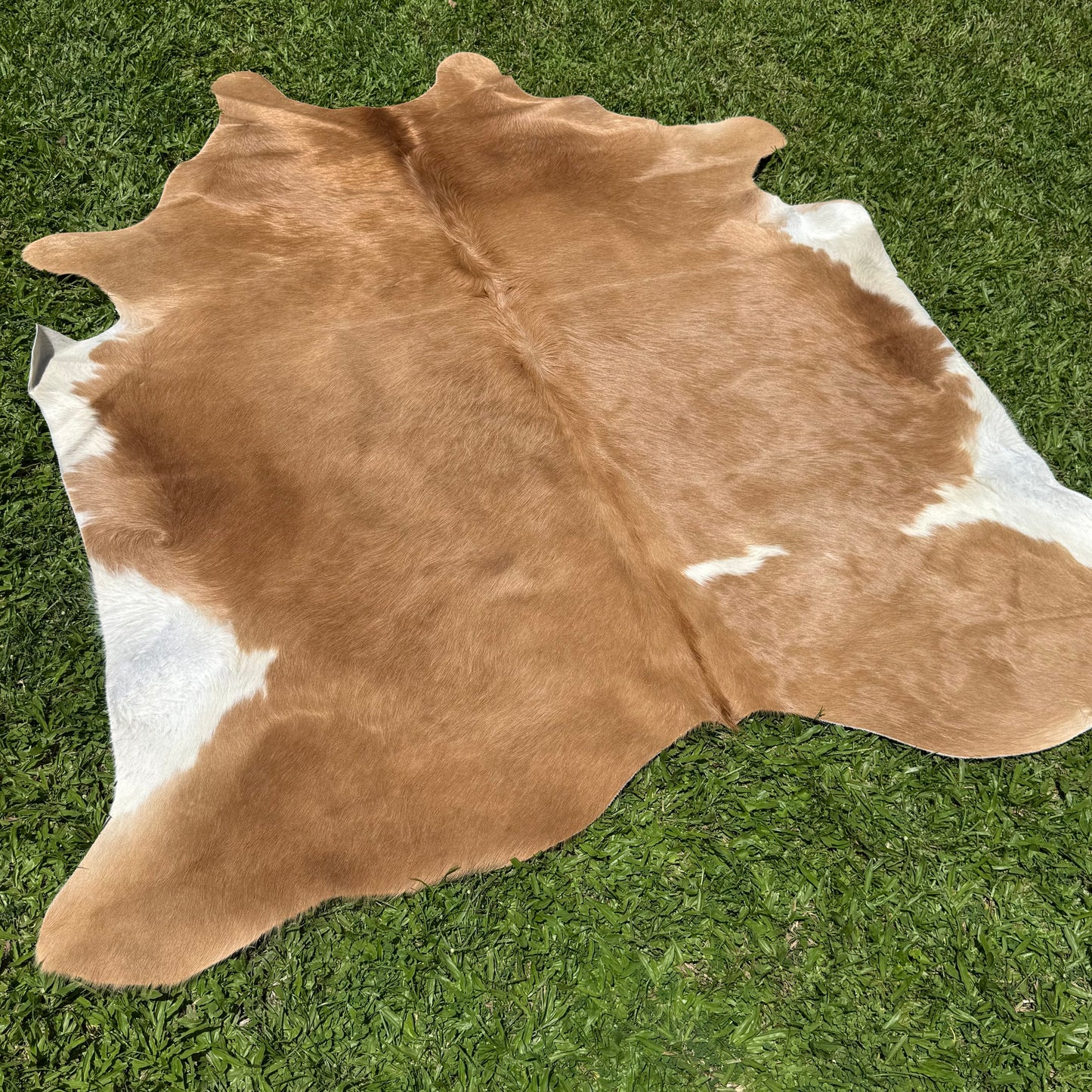 Large Cowhide Rug