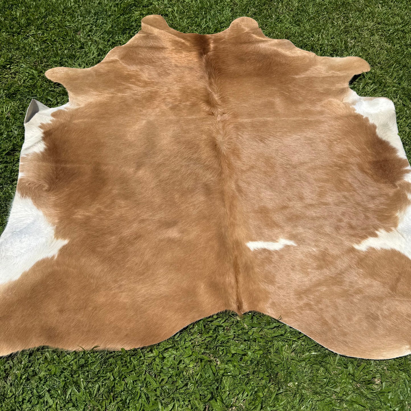 Large Cowhide Rug