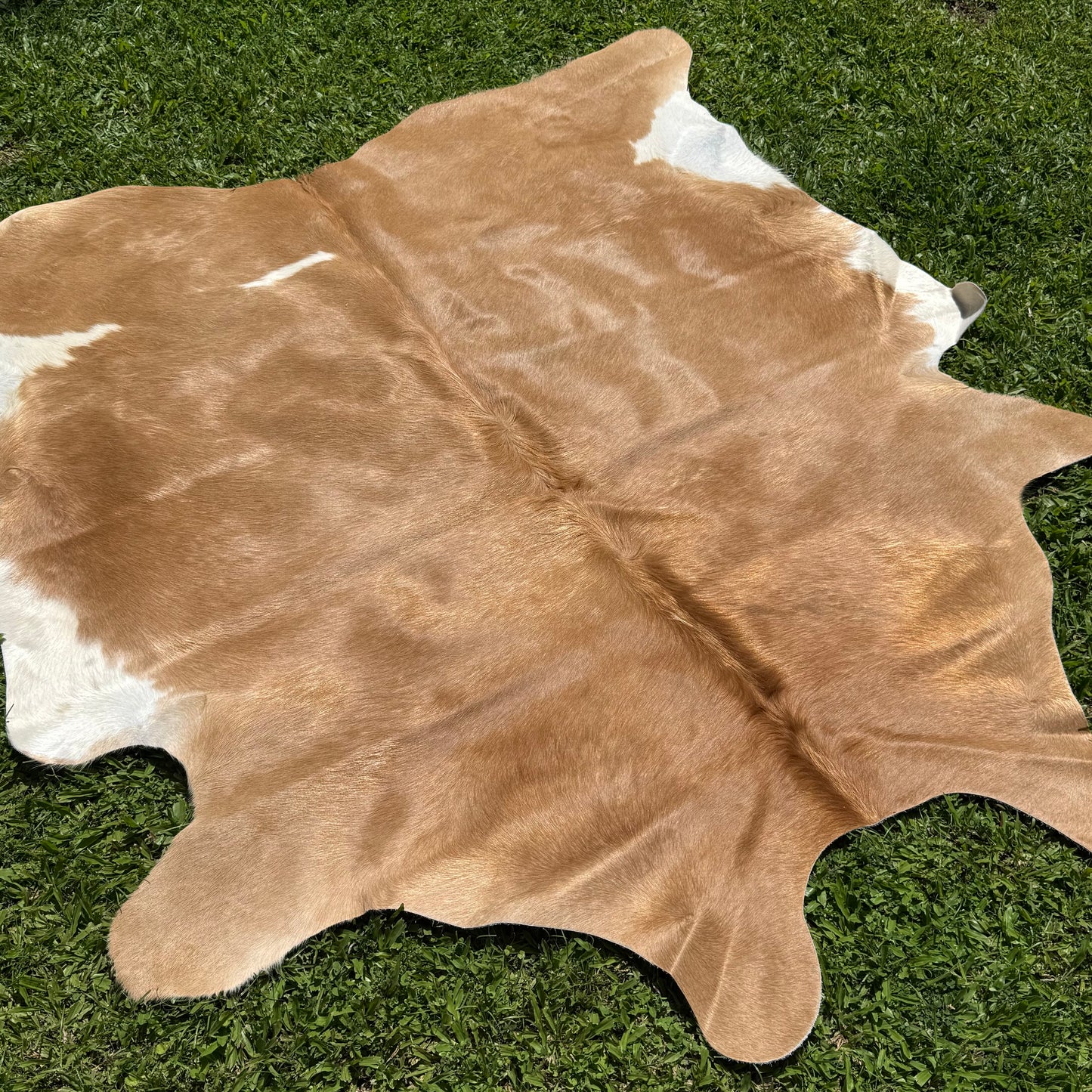 Large Cowhide Rug