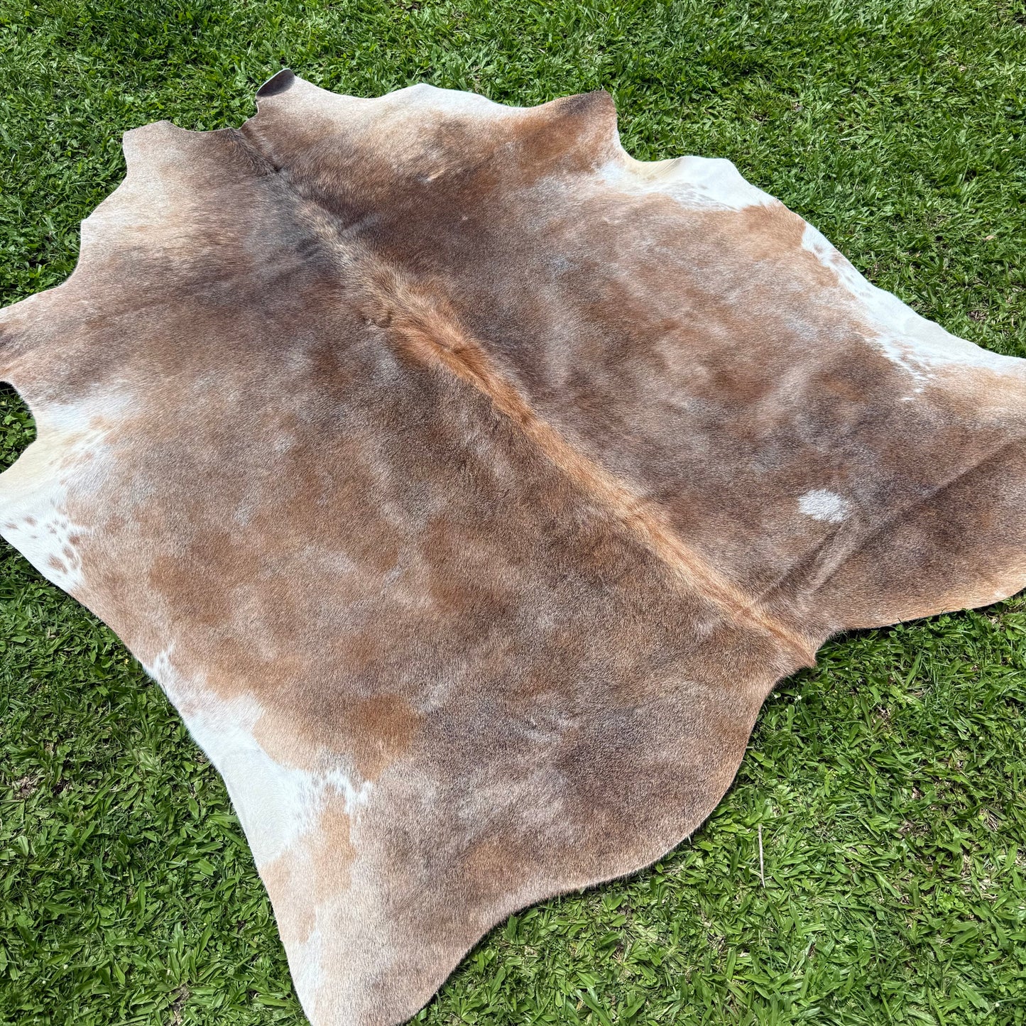 Small Roan Cowhide Rug