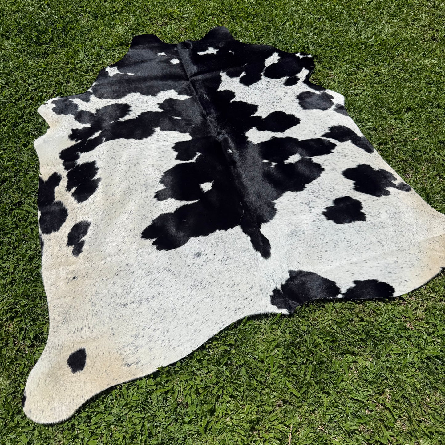 Small Black/White Cowhide Rug