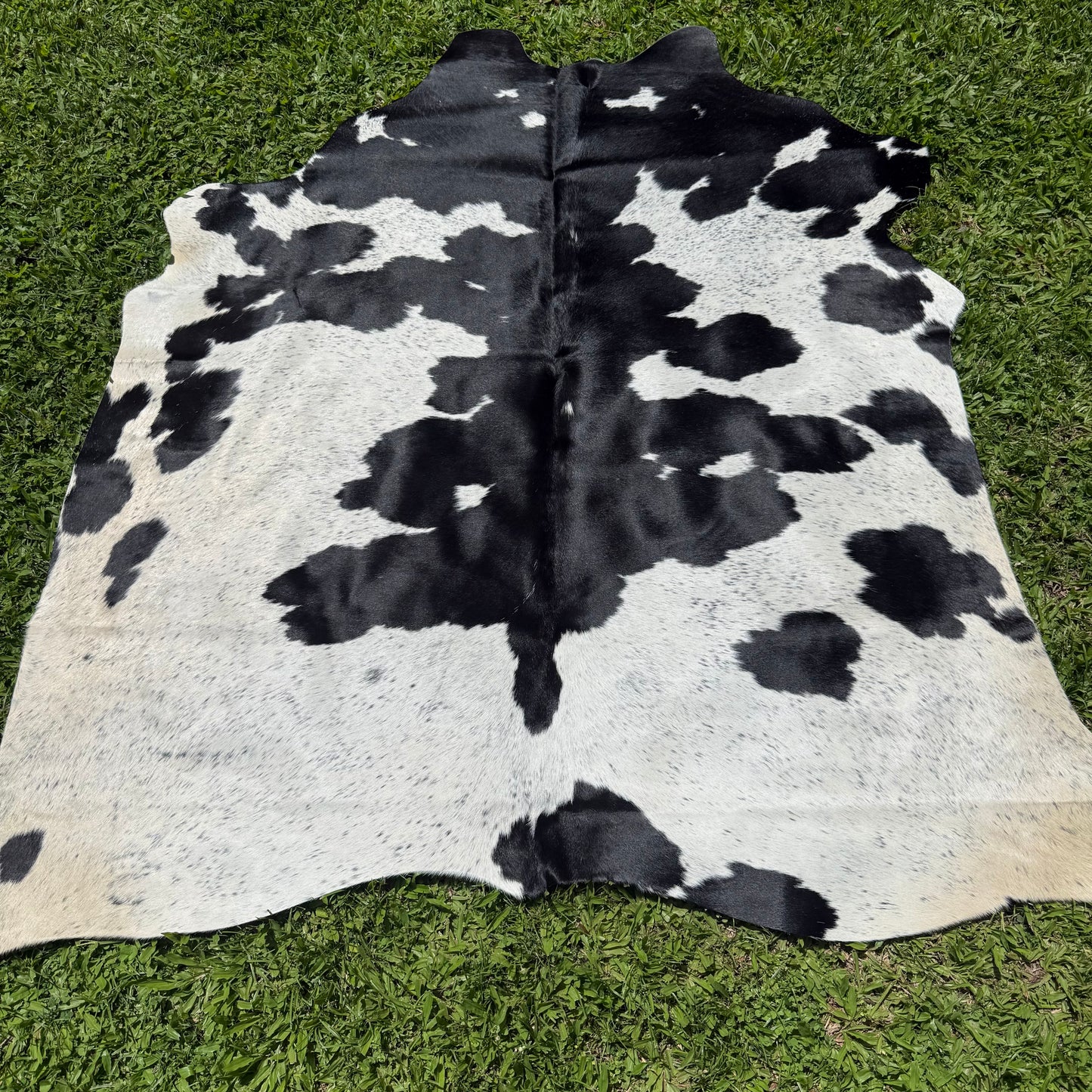 Small Black/White Cowhide Rug