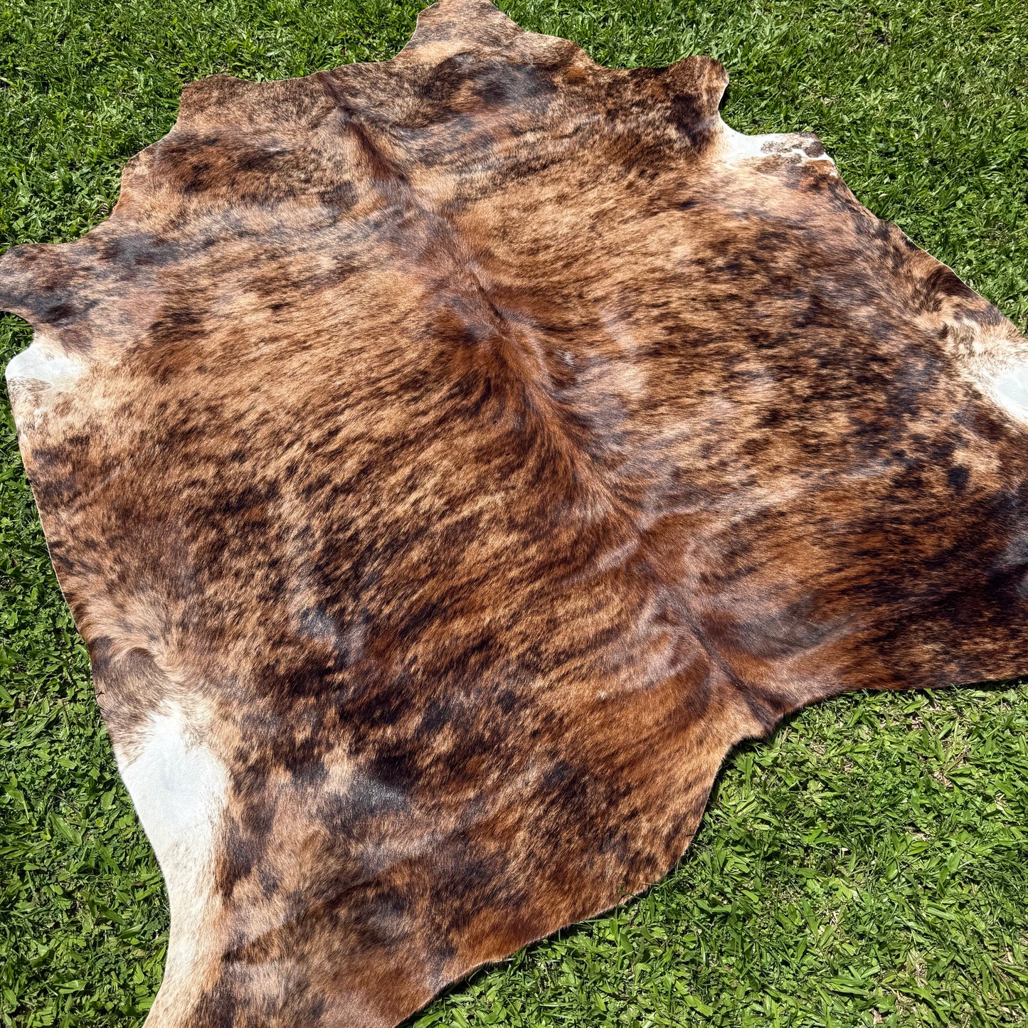 Large Brindle Cowhide Rug