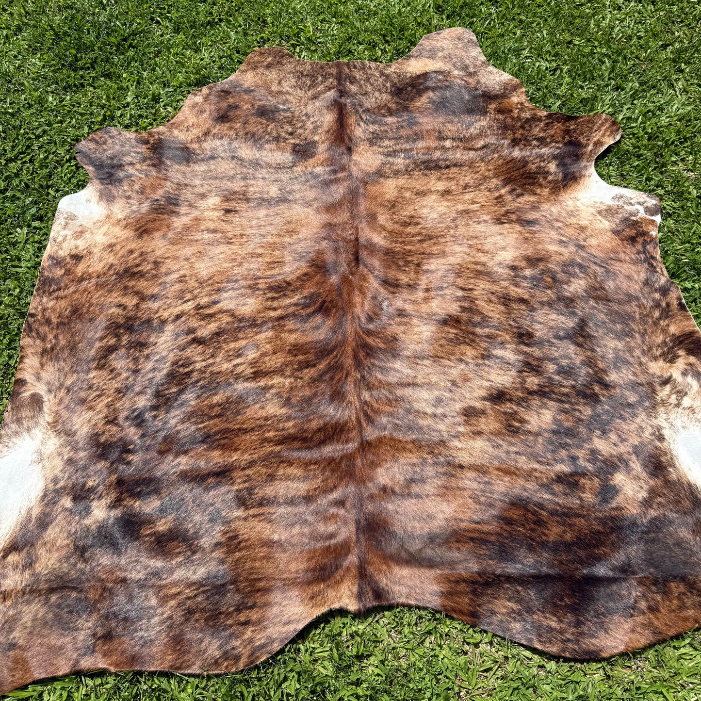 Large Brindle Cowhide Rug