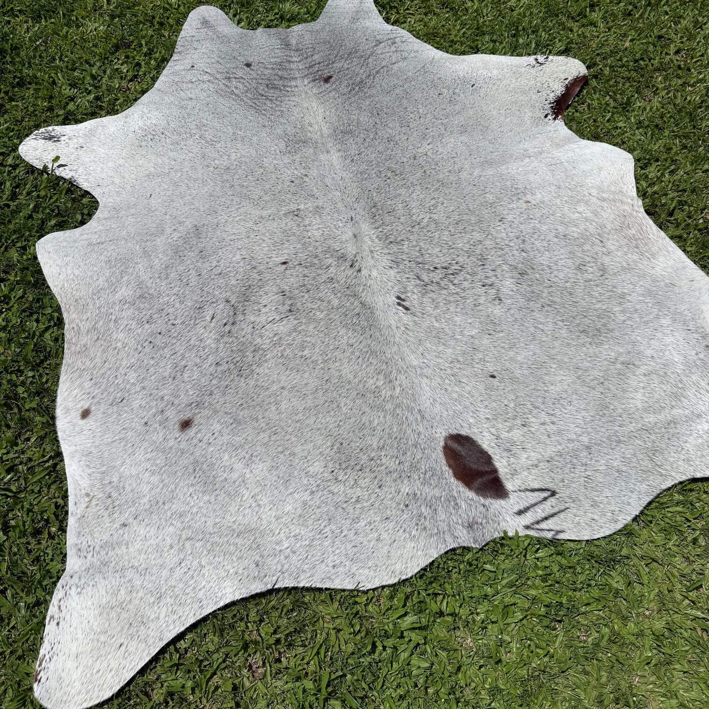 Small Sp/Black Cowhide Rug