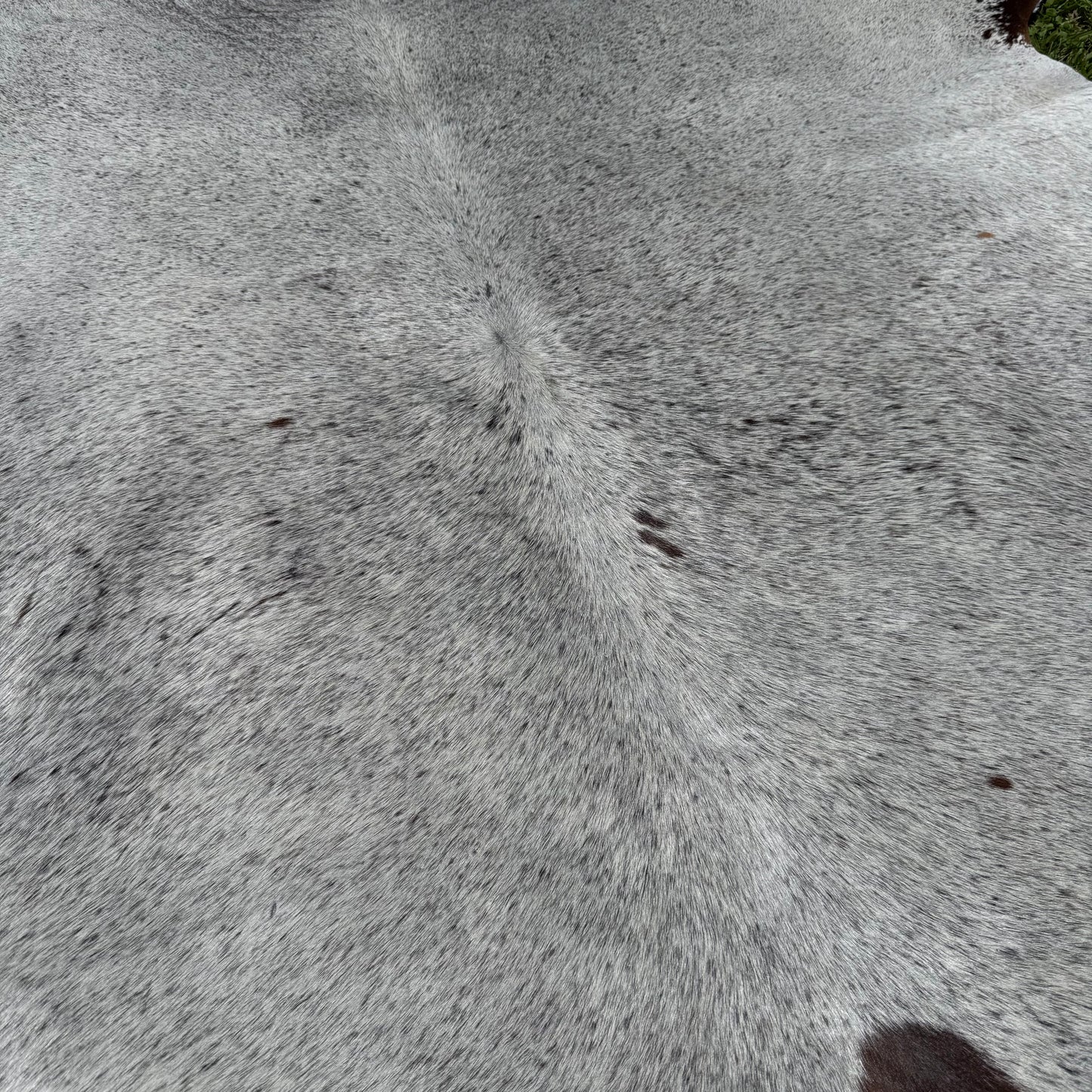 Small Sp/Black Cowhide Rug