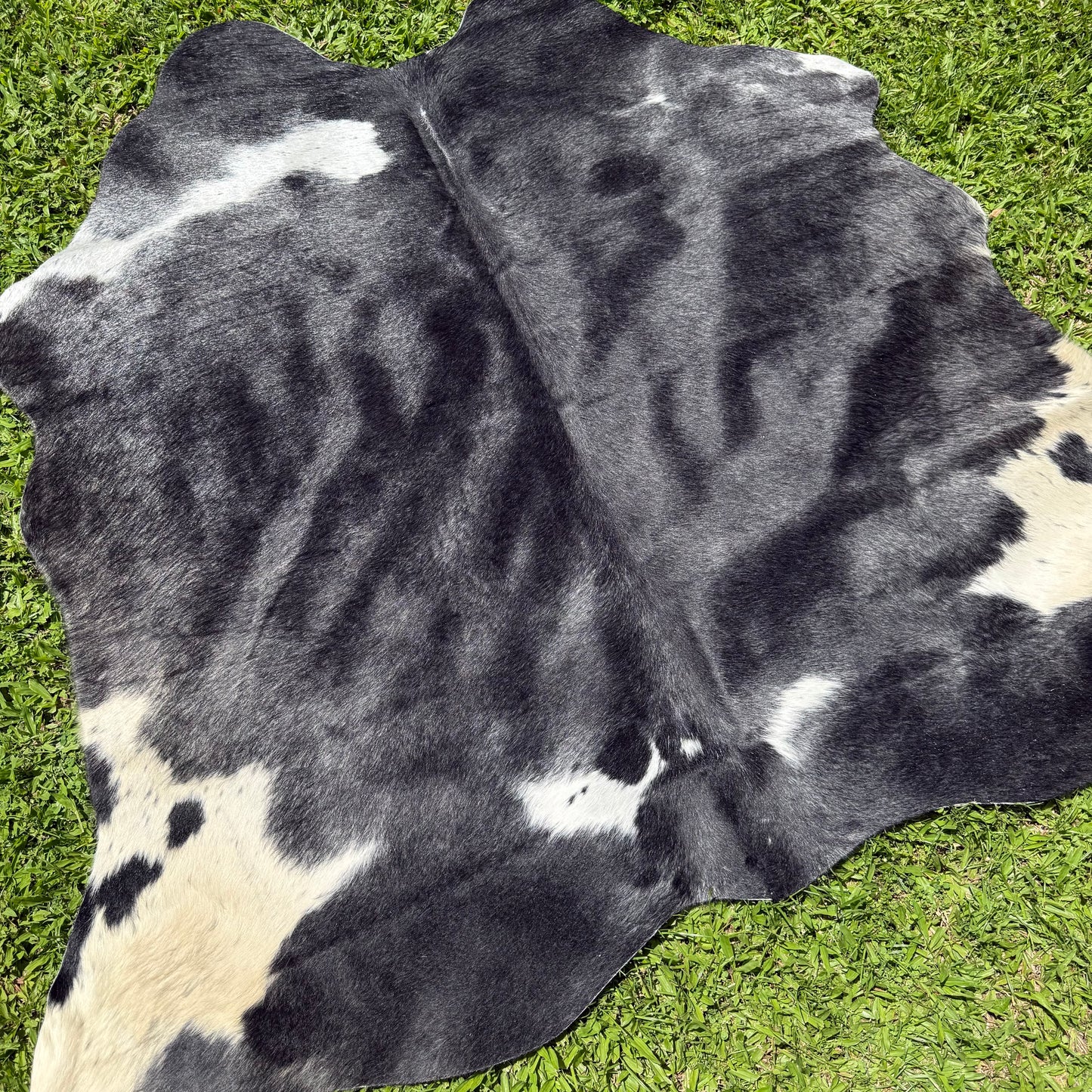 Small Black Roan Cowhide Rug
