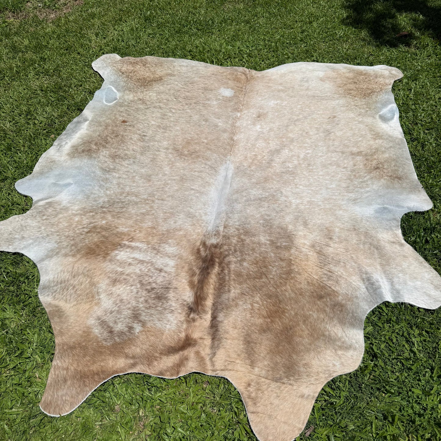 X-Large Grey/mix Cowhide Rug