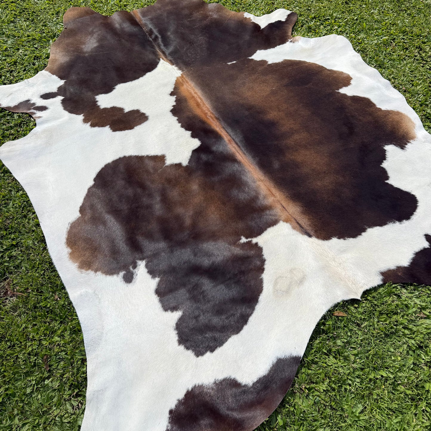 Large Red Cowhide Rug