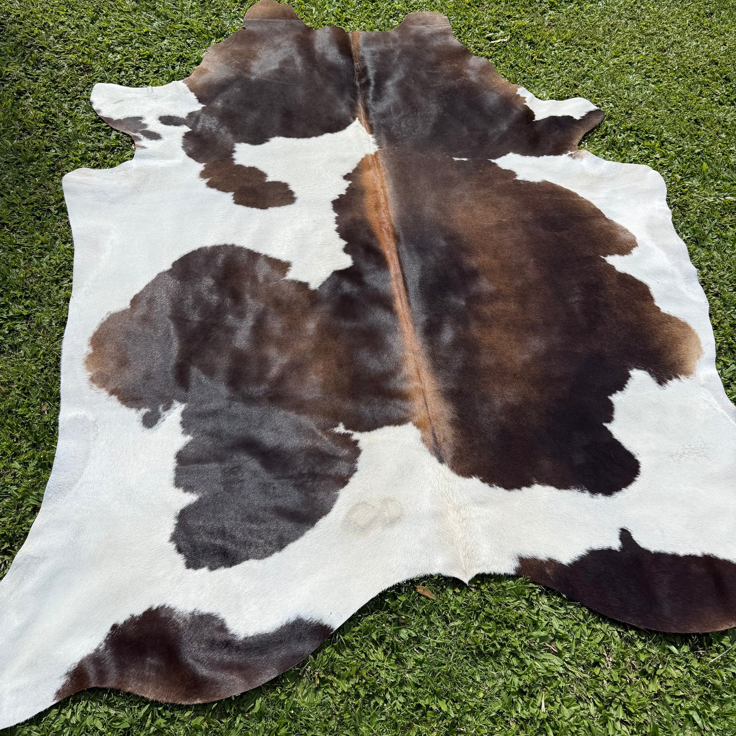 Large Red Cowhide Rug