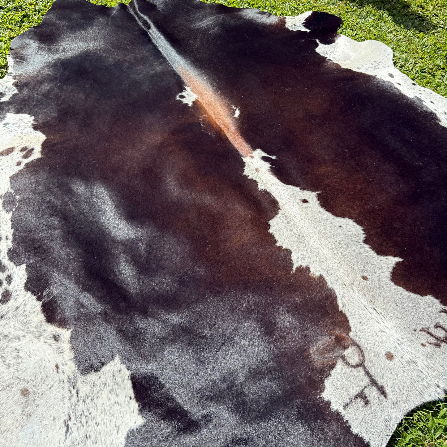 Large Red Cowhide Rug