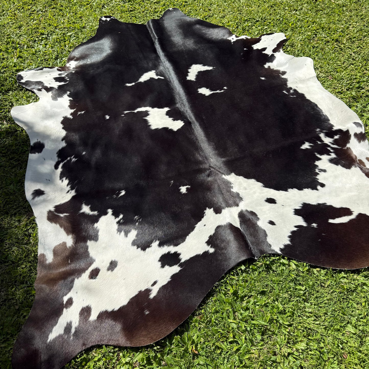 Large Black/White Cowhide Rug