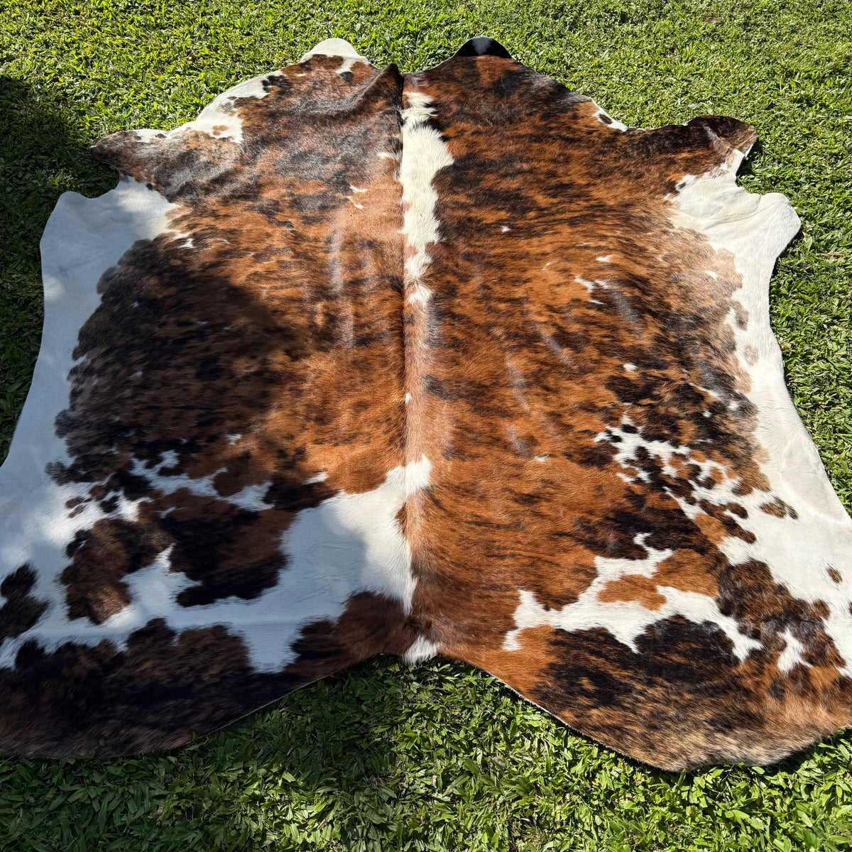 Large Tri Colour Cowhide Rug